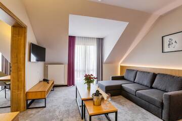 Фото номера Люкс Отель Hotel Aspen г. Глухолазы 4